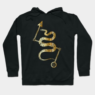 Pictish Serpent With Z Rod Hoodie